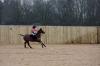 Oxford Polo 2022_12_11 0115